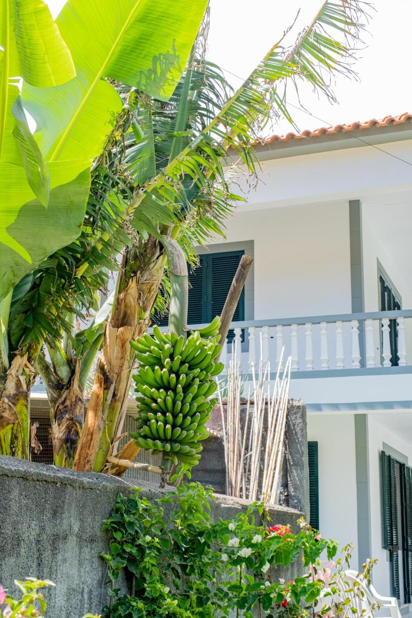 Sao Vicente Guest House Zewnętrze zdjęcie